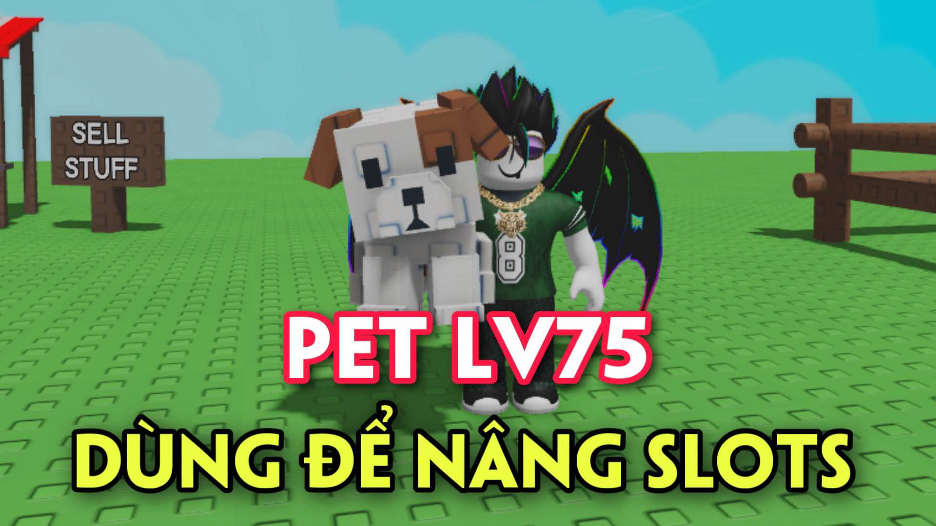 Pet Lv75 ( Dùng Để Nâng Slots )