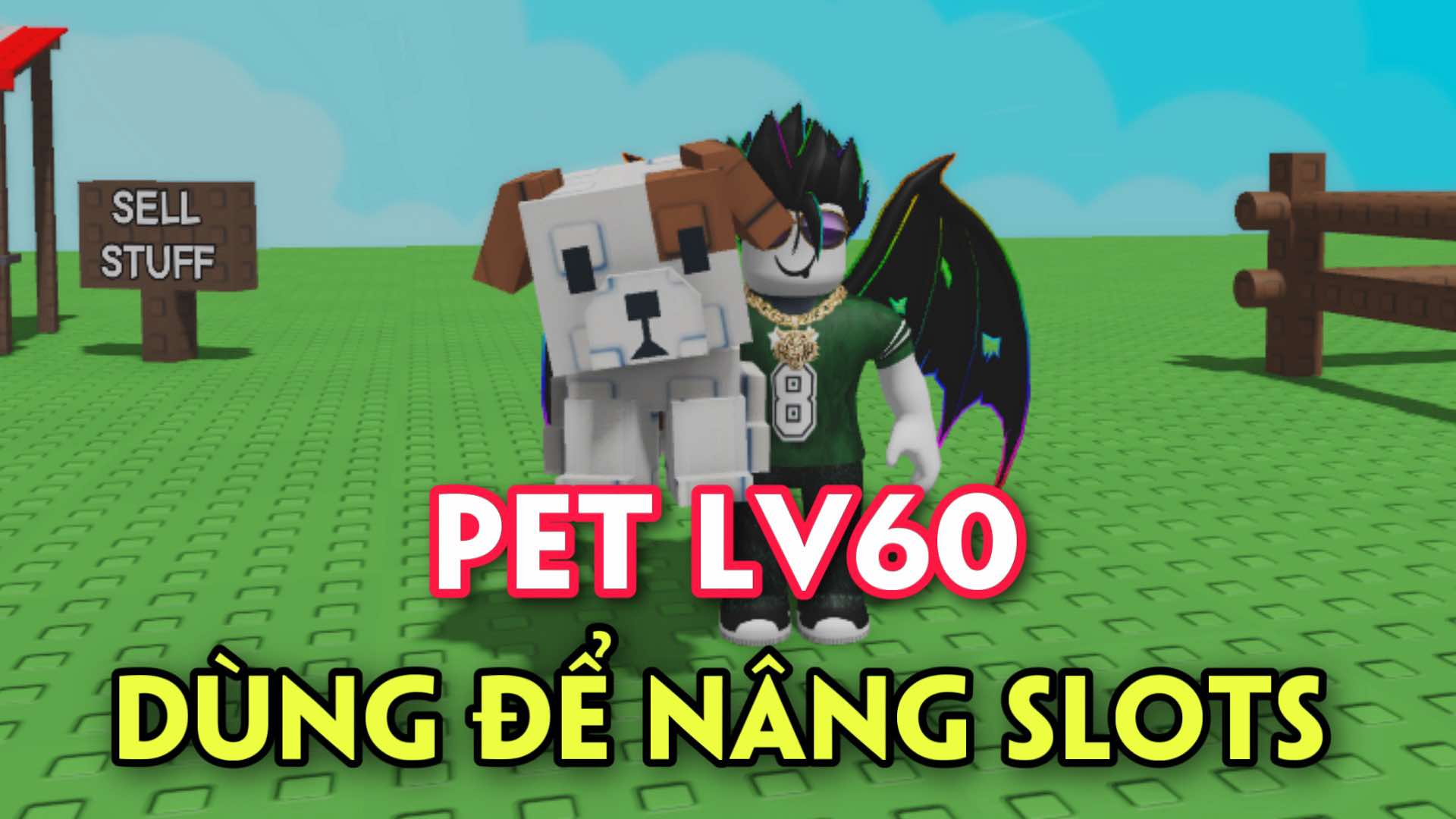 Pet Lv60 ( Dùng Để Nâng Slots )