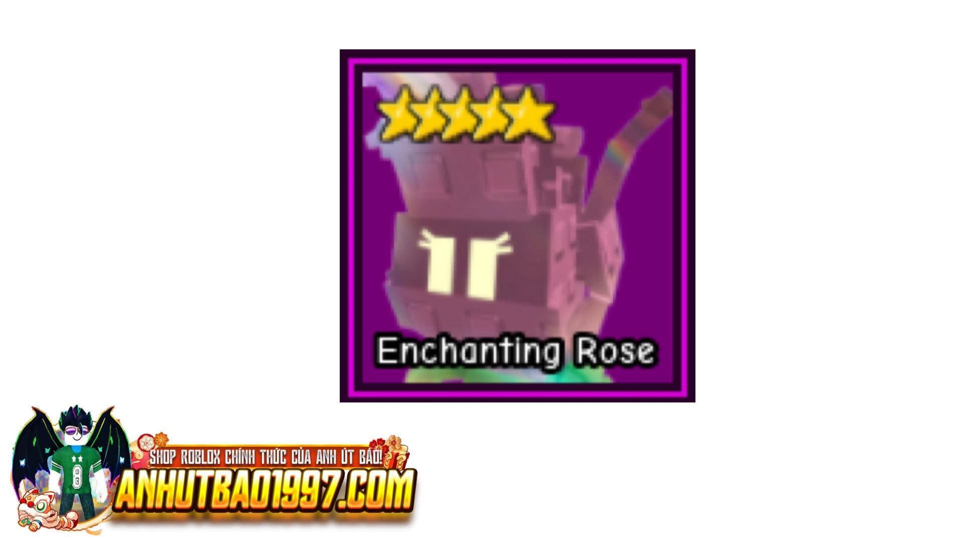 enchanting rose